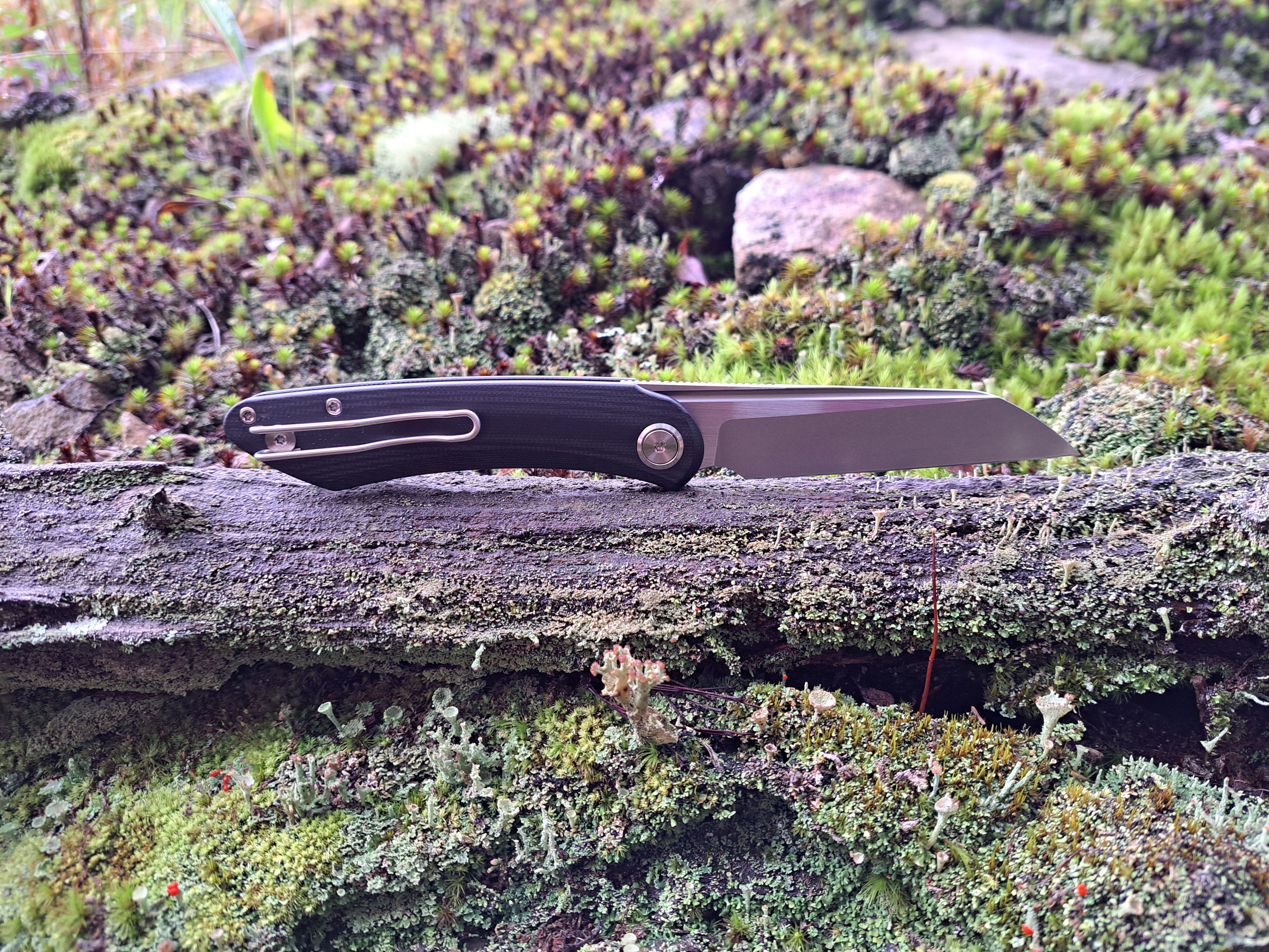 PRE-ORDER: Graviton "Space Dust"